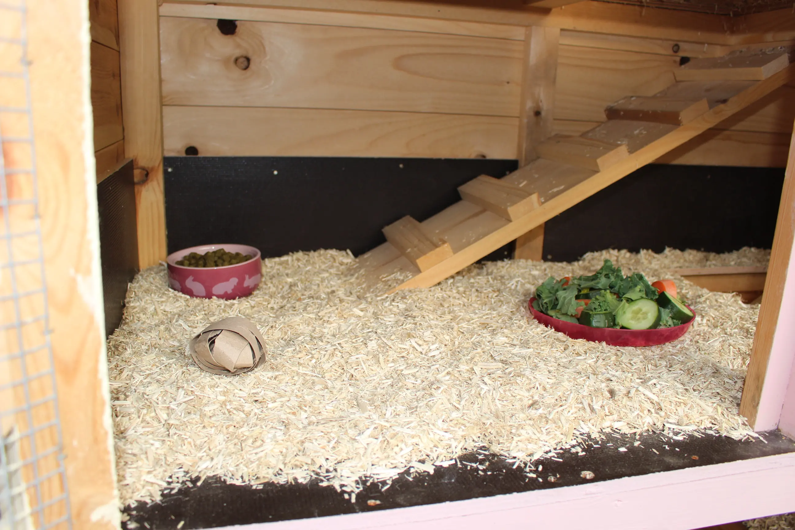 Rabbit Boarding The Hedgerow Hotel Hook, Hampshire